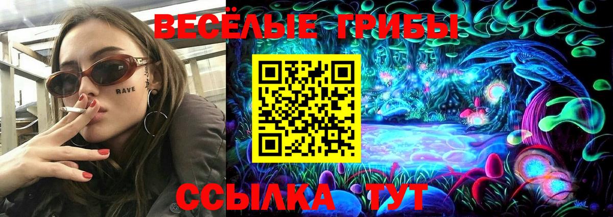 Галлюциногенные грибы GOLDEN TEACHER Сызрань